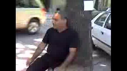 ludata brigada 