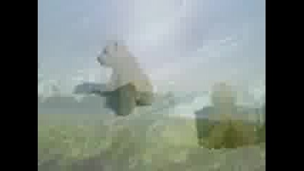 Planet Earth