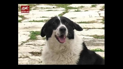 Спомен За Карамелка