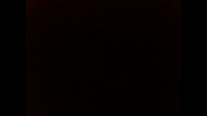 neli_demi_1