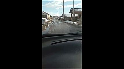Това е пътят град Лом - село Замфир