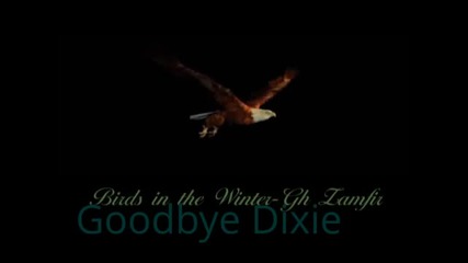 Goodbye Dixi