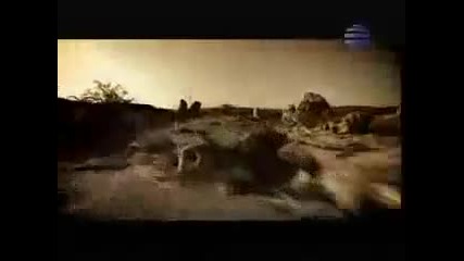 iliqn - Vchera