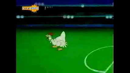 Zoo Cup - Kokoshki Vs Patitci.