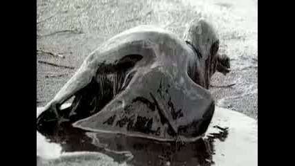 Linkin Park - What I`ve Done