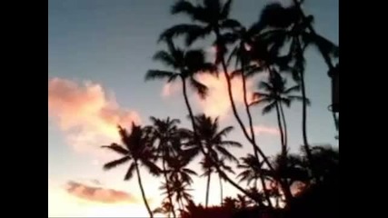 Hawaii Beach House 