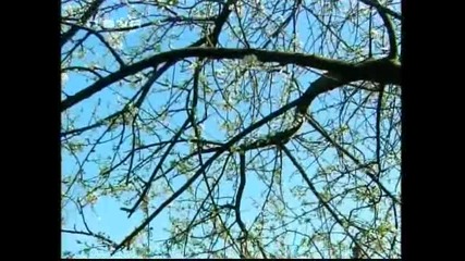 Истанбулска приказка еп.72/2 част 