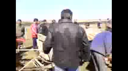 на Мичи кобилата Линда е номер 1 на тудерица и само на 4 години