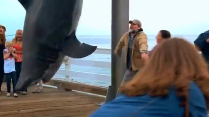 Акула изплюва тюлен и човек-реклама на предаване по дискавъри!