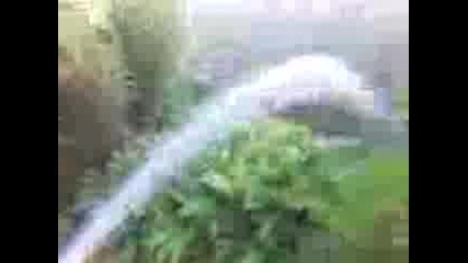 полива