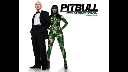 Pitbill - In the Haus