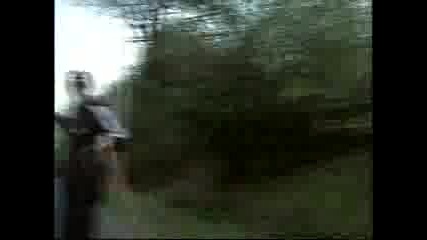 Dog Skating 1