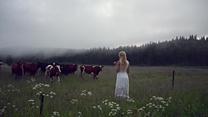Как се викат кравите в Швеция ?