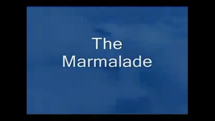 The Marmalade - Reflections of My Life (lyrics)