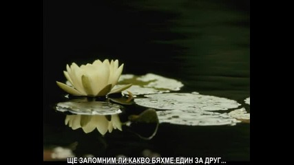 забравихме...
