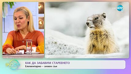 Как да забравим стареенето - Елементарно-зимен съм - „На кафе” (10.03.2022)