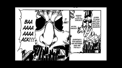 Bleach Manga 411 {hg}