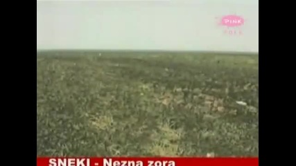 Sneki 1990 - Ne zna zora