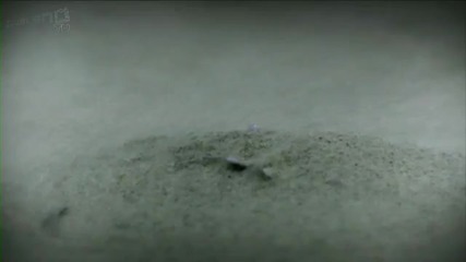 Kaskade - Angel On My Shoulder 