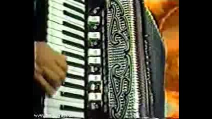 Sinan Sakic - Nije moje srce ludo