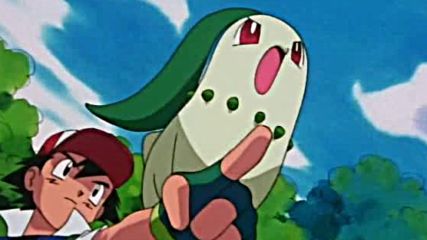 Pokemon s03 ep16