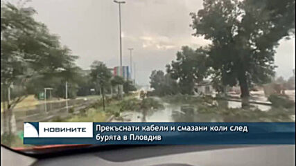 Прекъснати кабели и смазани коли след бурята в Пловдив