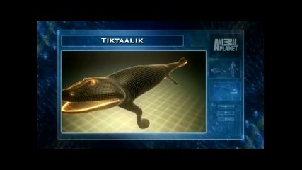 Animal Armageddon First Vertebrate