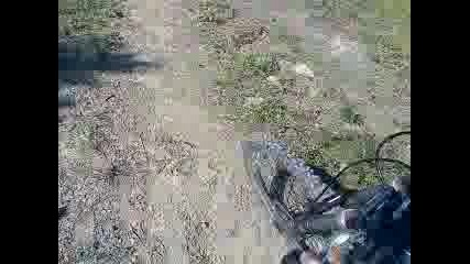 freeride
