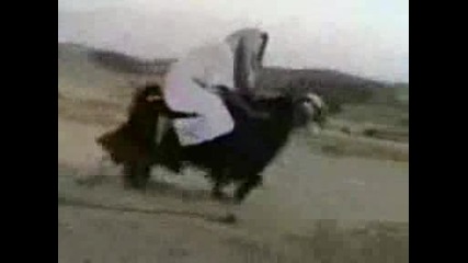 Смях ;)