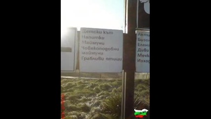 Funni Video 3