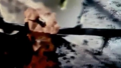Stacey Kent, Jim Tomlinson - The gentle rain- Нежният дъжд