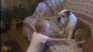 Малко бебе се обяснява на куче!