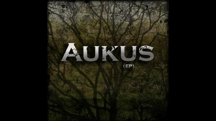 Aukus - Fine Print