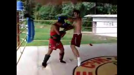True Bee Camp Thailand
