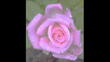 Kelly Clarkson - Because Of You 