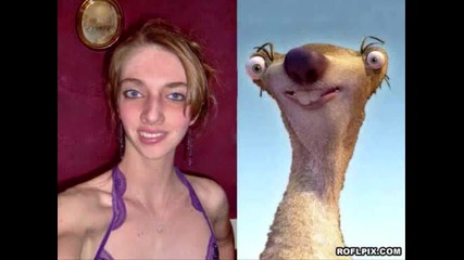 funny picture Compilation
