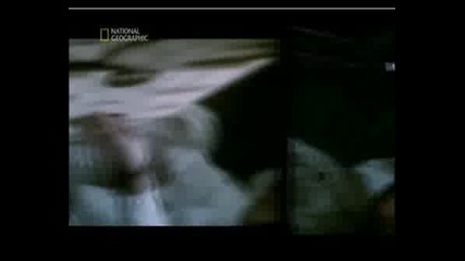 ! Apollo 13 - Критична Ситуация - Част 10