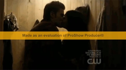 New! * Stelena*