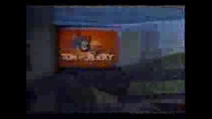 Tom & Jerry - Stupid