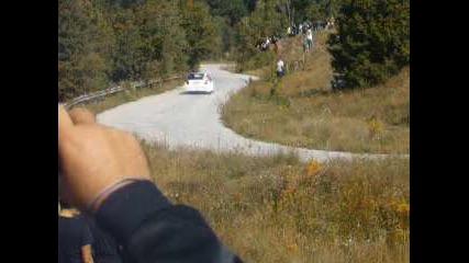 Рали България 2010 