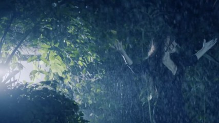 Kamelia - Suave