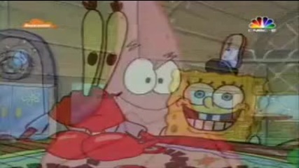 spong bop
