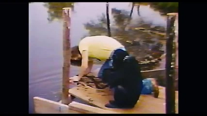 Project Nim - Nim and Bob's Days Out