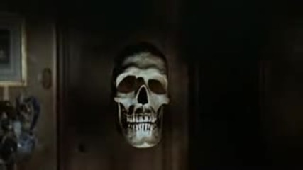 Skull