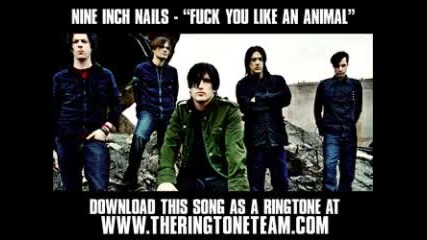 ~ Nine Inch Nails - I Wanna Fuck You Like An Animal ~