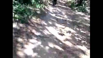 aerox