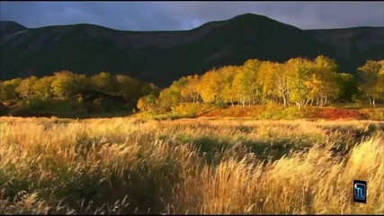 Trance - Dreamy - Say What You Want ( Original Mix )