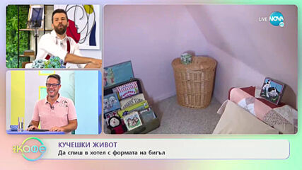 Кучешки живот - Да спиш в хотел с формата на бигъл - „На кафе” (15.06.2021)