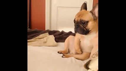 Wtf Did I Just See!