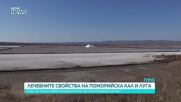 Какви са лечебните свойства на поморийската кал и луга